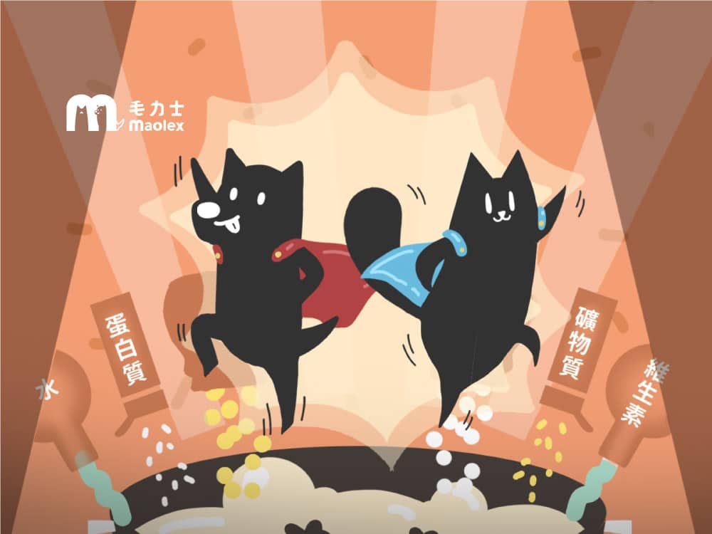 maolex-毛力士-鮮食主食餐包-主食罐-罐罐-濕食-鮮食-毛孩六大營養素-水分-狗狗鮮食主食餐包-貓咪主食餐包-成犬-幼犬-成貓-幼貓-小貓-小狗-毛孩營養均衡