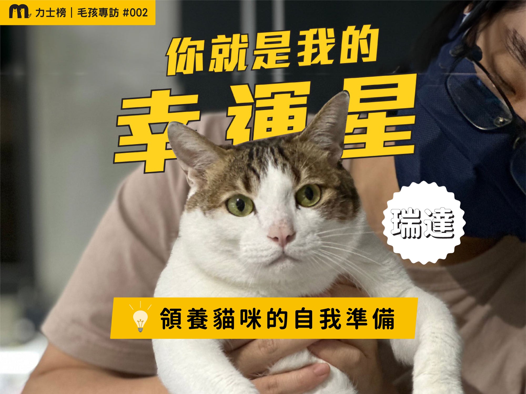blog1_maolex-dog-cat-pet-food-wetfood-freshfood-catfood-dogfood-dryfeed-catcare-catfood-catgrow-catnutrition-kittens-neko-feedingamount-catfreshfood-catgrass