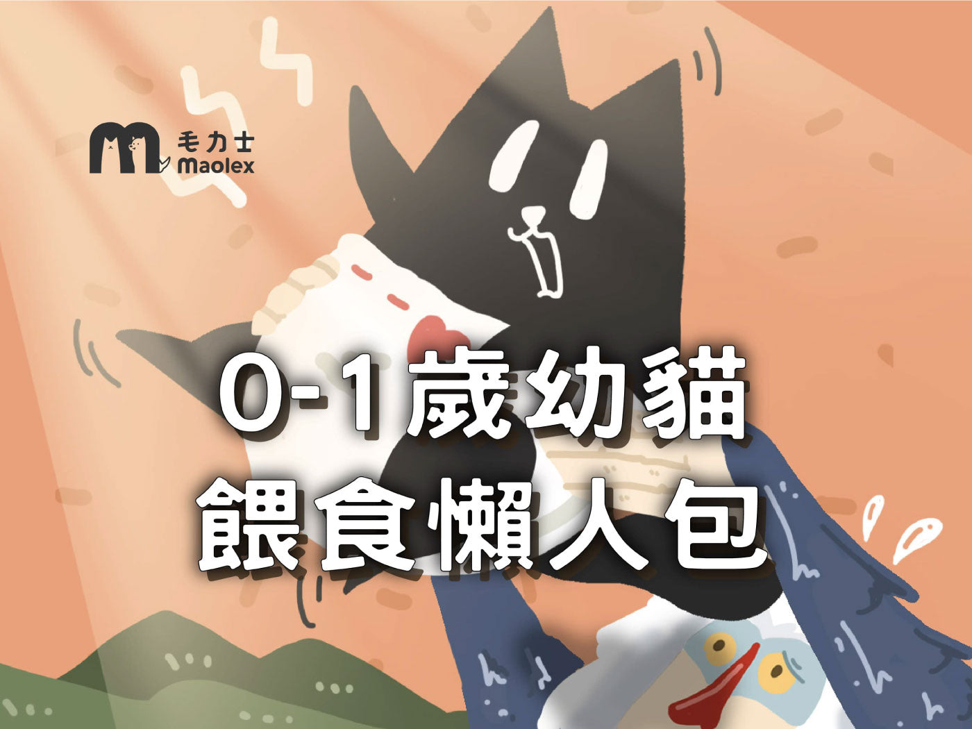 🐈養貓新手必看！0-1歲幼貓餵食懶人包，四階段重點總整理✨