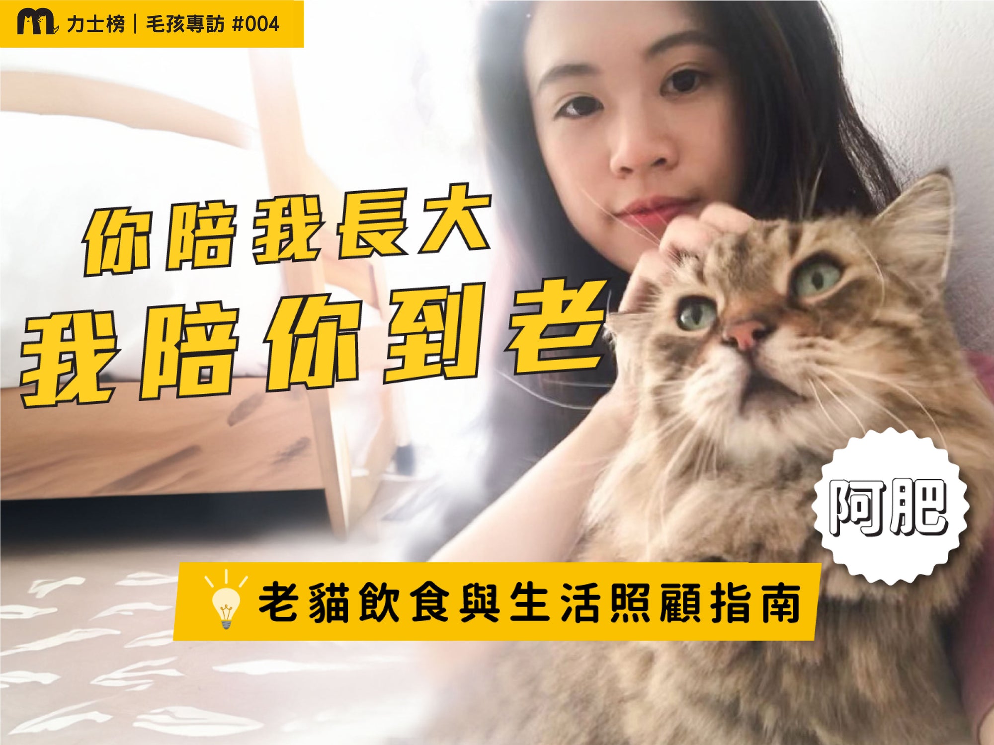 blog1_maolex-dog-cat-pet-food-wetfood-freshfood-catfood-dogfood-dryfeed-old cat-old cat care-old cat feed-cat fresh food-cat aging-cat slave-old cat eat-canned cat