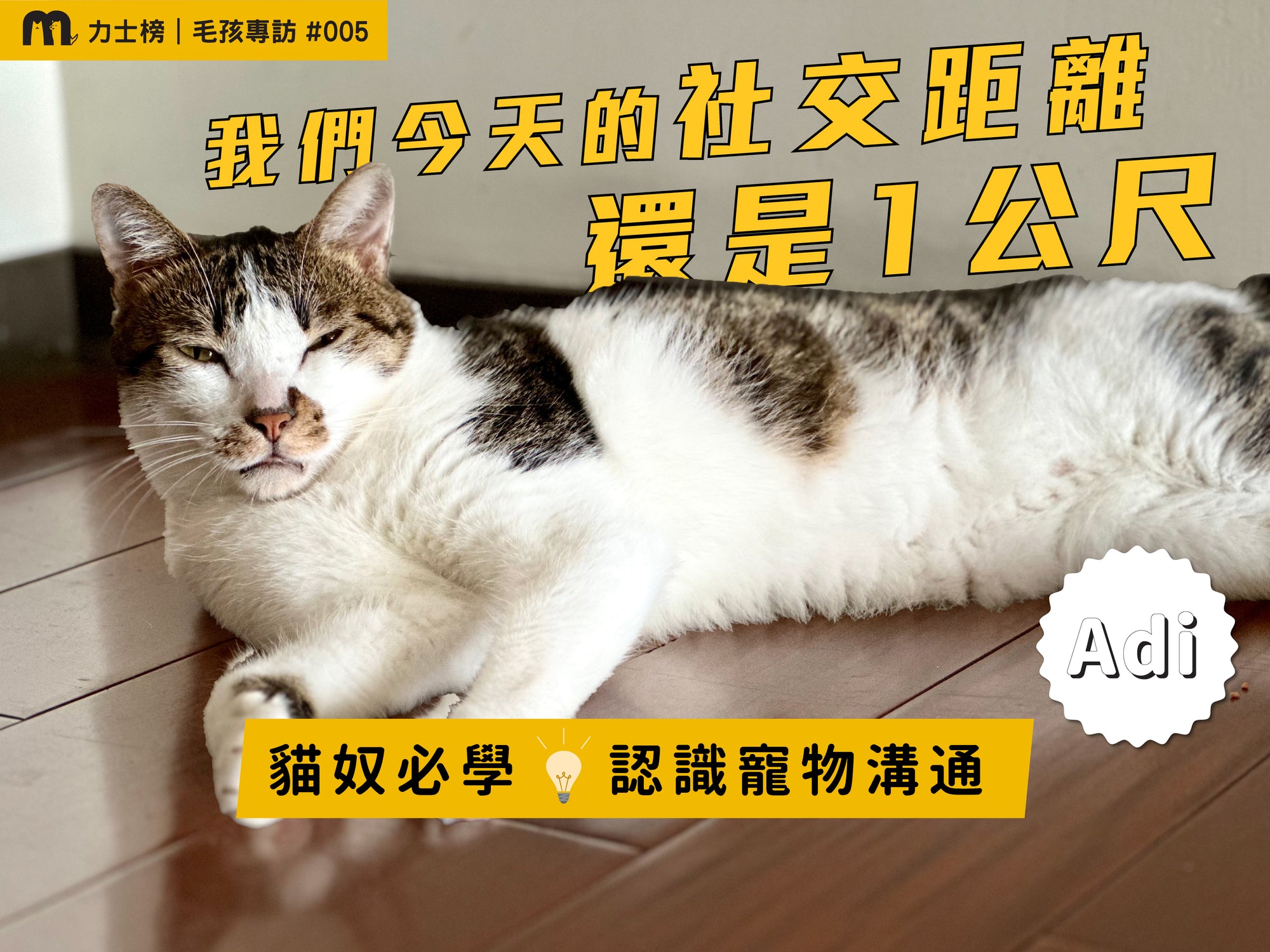 blog1_maolex-dog-cat-pet-food-wetfood-freshfood-catfood-dogfood-dryfeed-pet communicator-cat behavior-cat get along-pet-psychic-jackercleaning-cat language-cat snacks-cat staple food