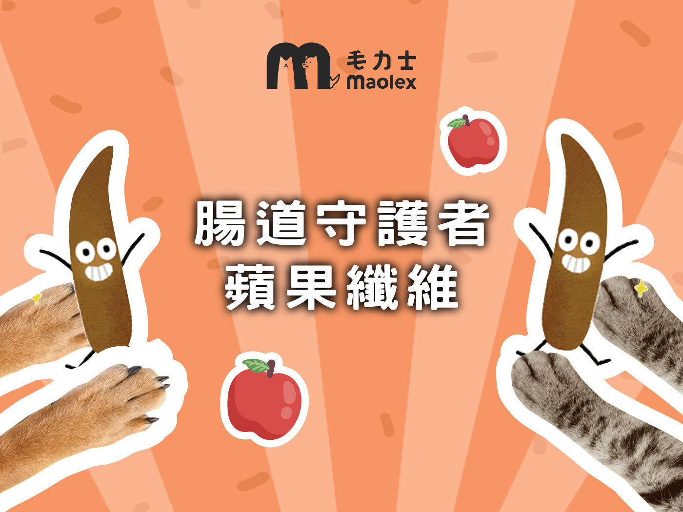 你不可不知的腸道守護者🧑⚕️『蘋果纖維』天然優質的膳食纖維