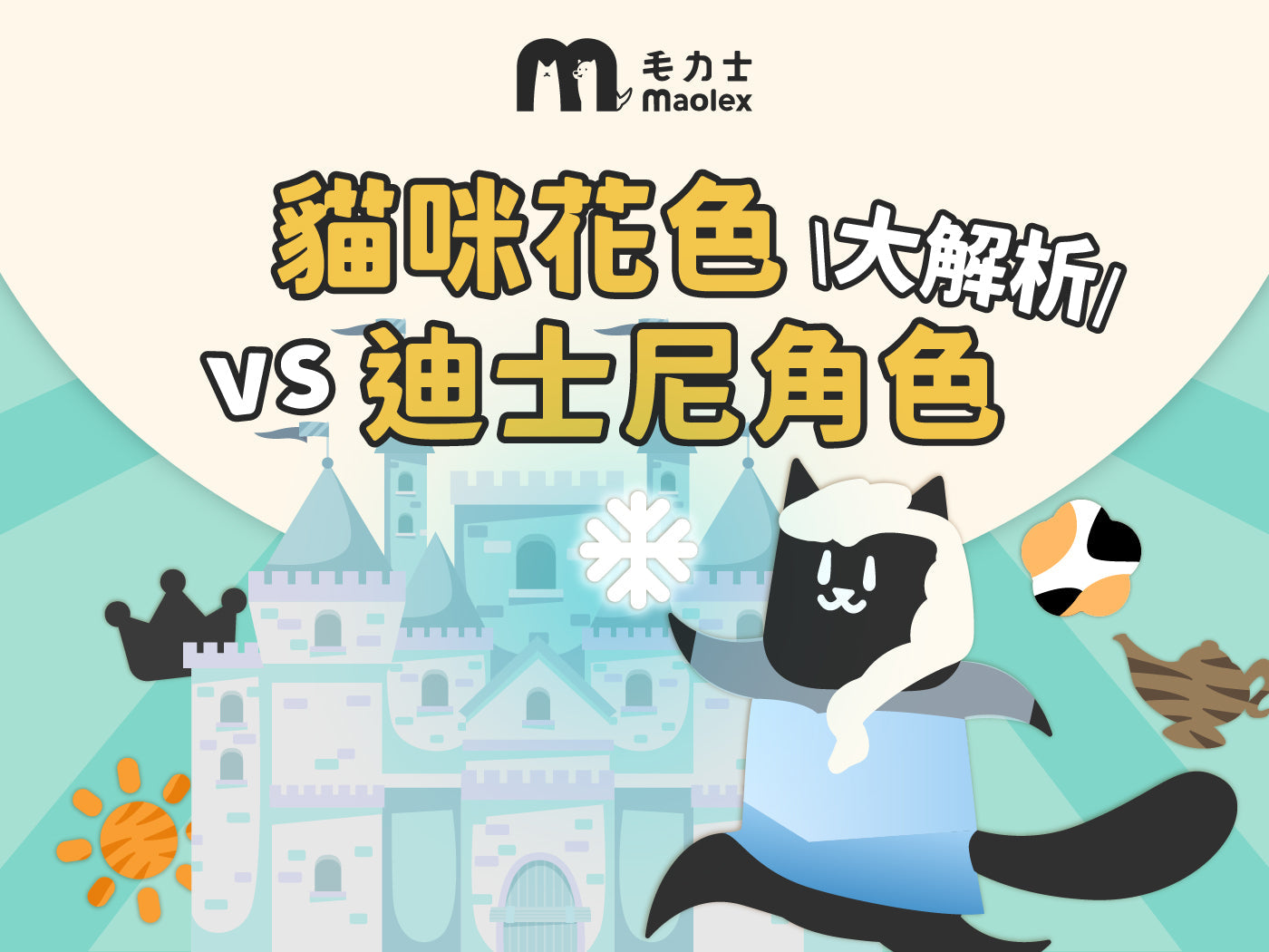 🐾 貓咪花色 vs 迪士尼角色大解析!