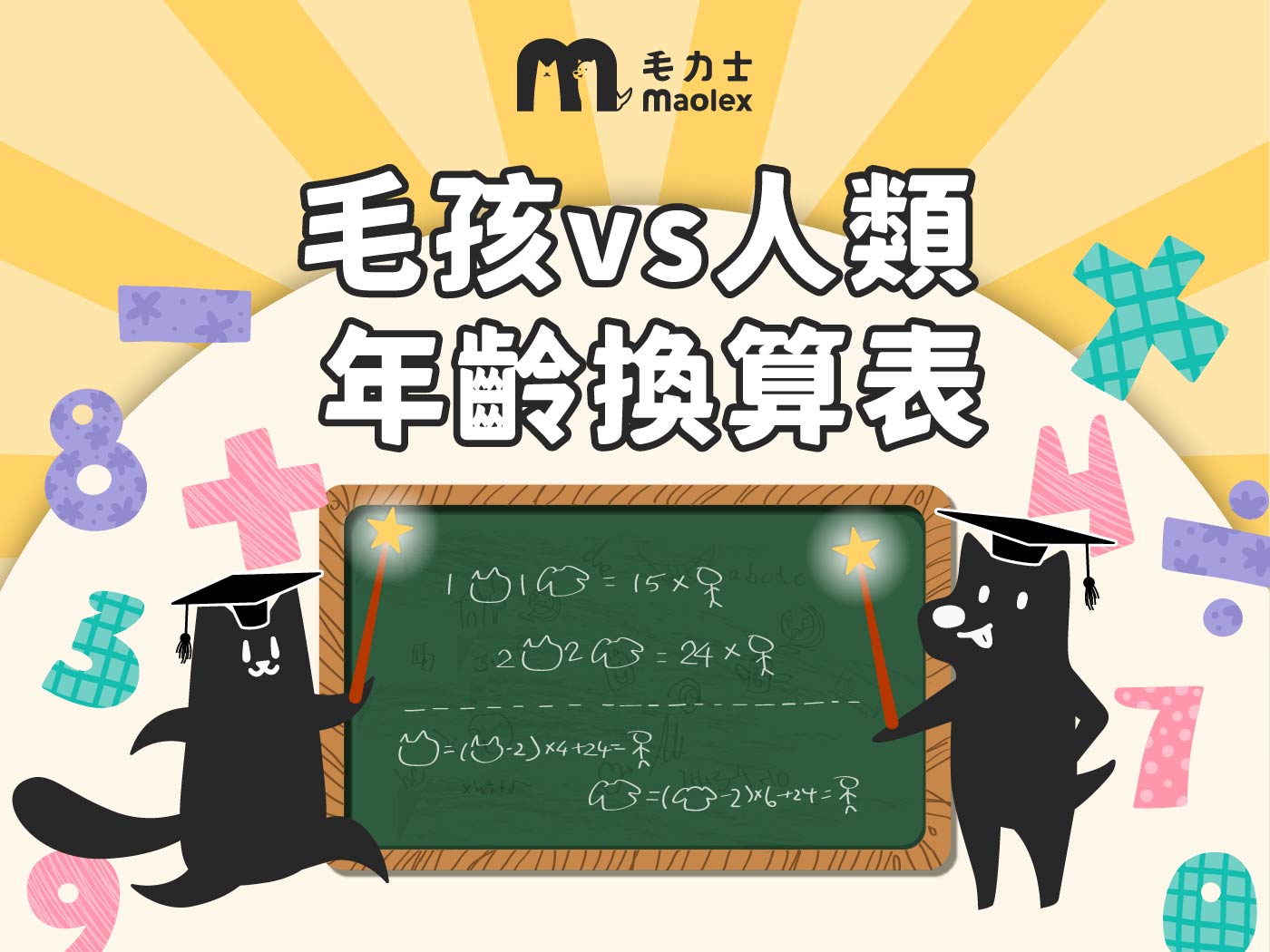 🐱🐶貓狗幾歲算老?毛孩vs人類年齡換算表🧓🏻