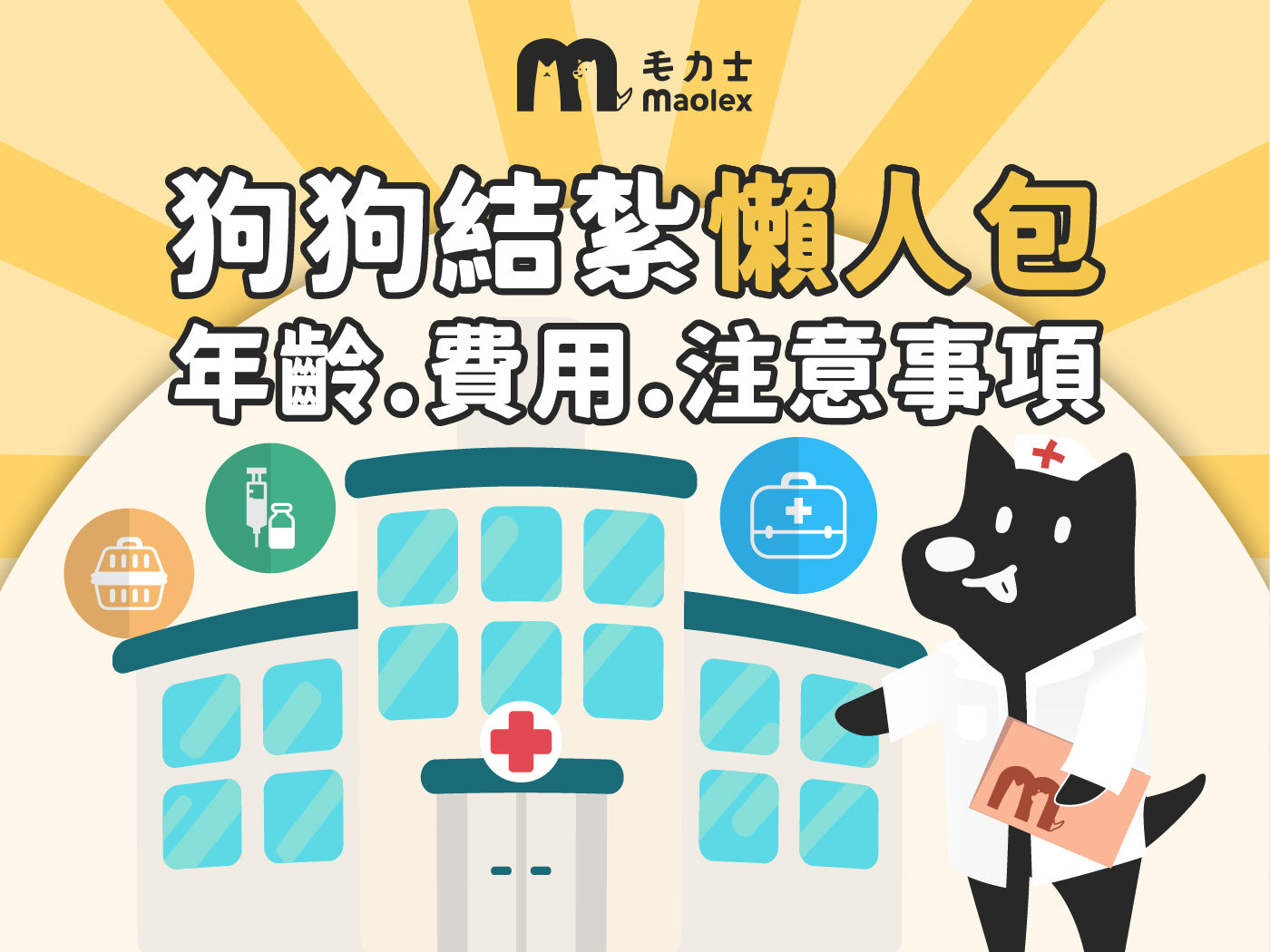 狗狗結紮年齡/費用/術前後照顧/注意事項「超完整指南」看這篇就夠📕