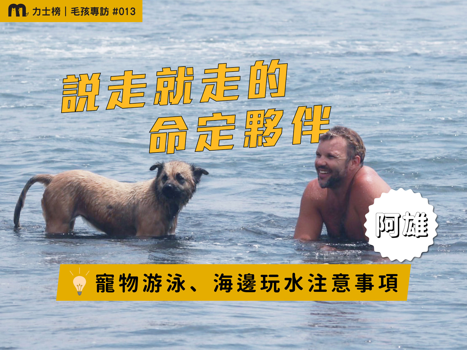 米克斯狗狗的主人在海邊帶著寵物游泳