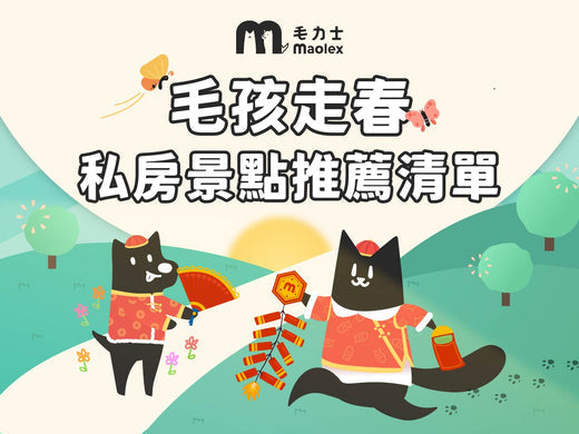「2025最新」寵物走春好去處🧧私房景點推薦清單!