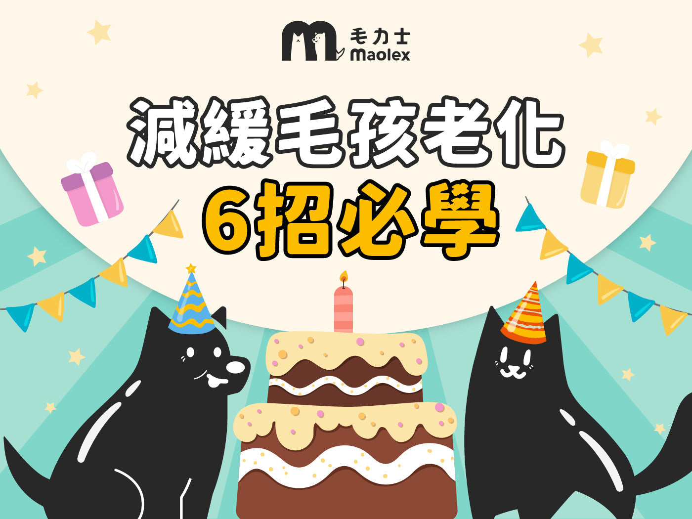 『減緩犬貓老化』不可不知道的6大重點🥩🥬讓你的寶貝陪你久一點🐶🐱