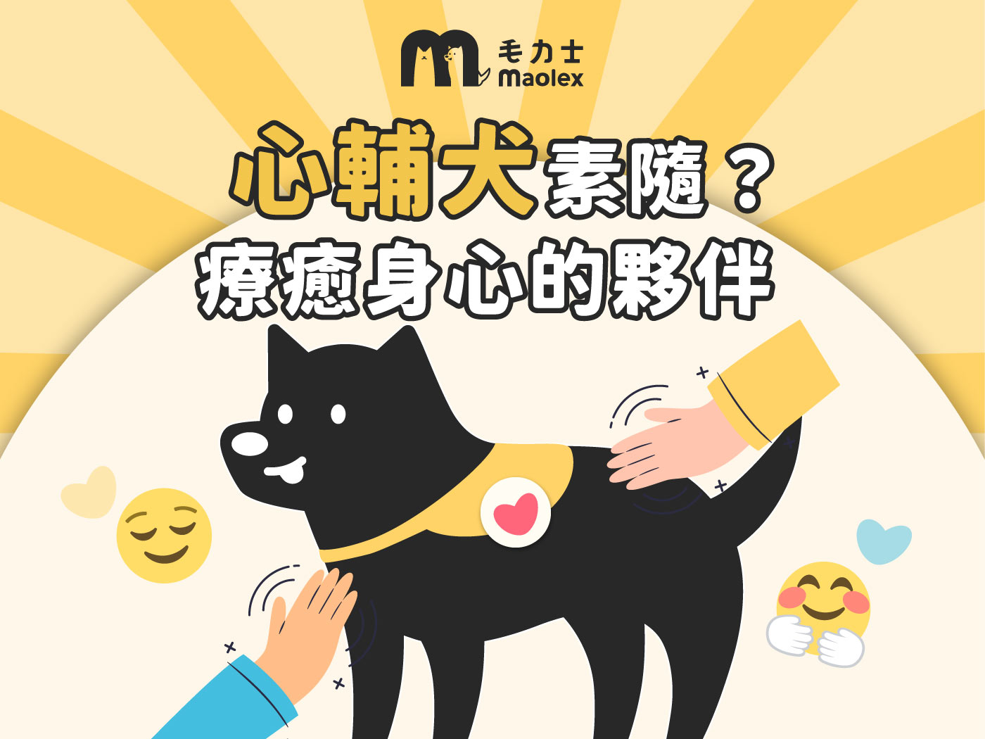 「心輔犬」素隨?流浪犬變身陪你一起療癒與成長 🐾