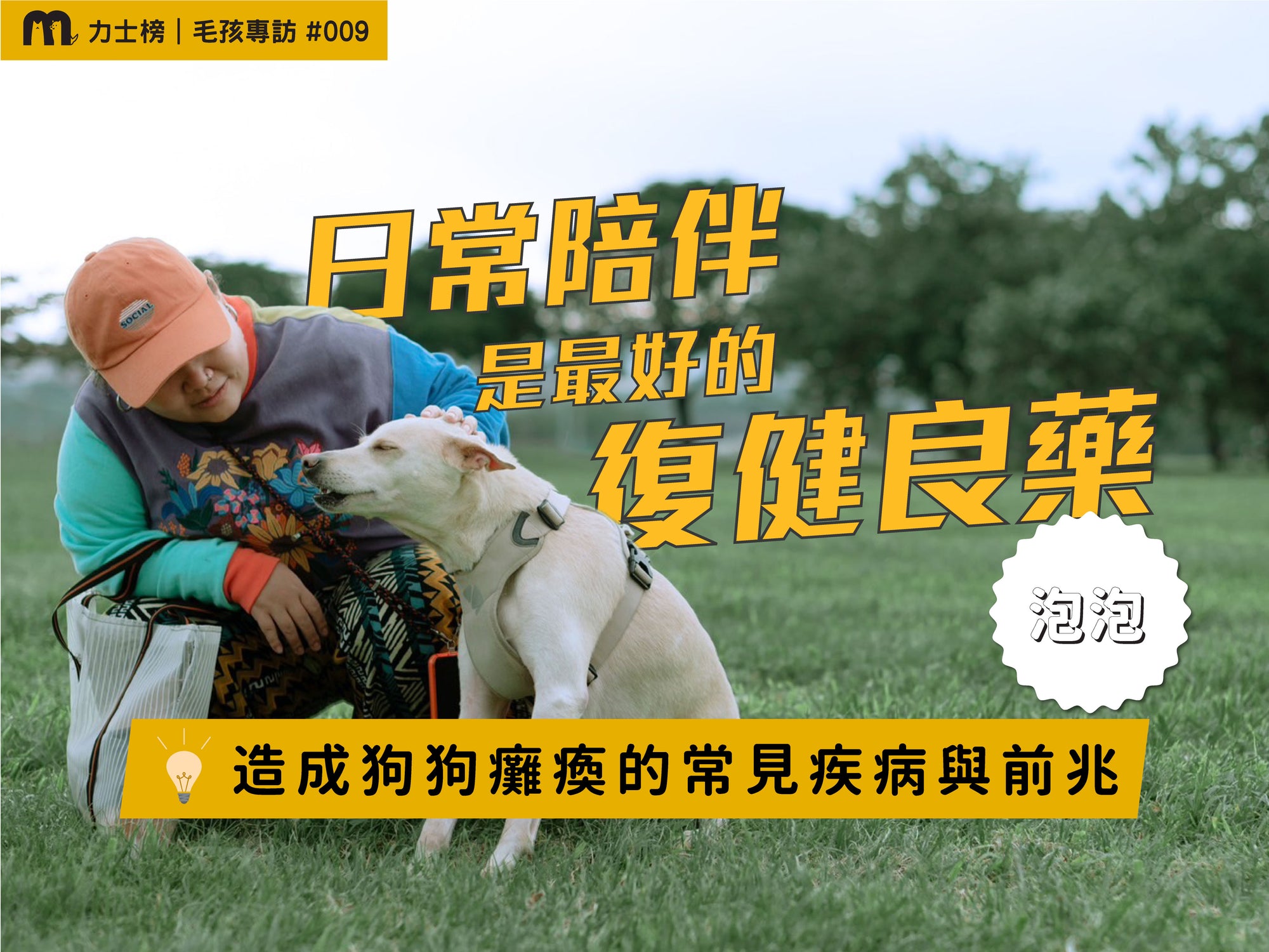 毛力士-力士榜毛孩專訪:日常陪伴是最好的復健良藥-造成狗狗癱瘓的常見疾病與前兆