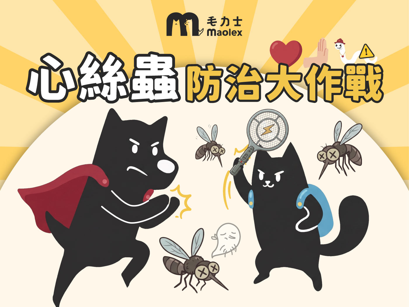 犬貓心絲蟲是什麼?感染途徑、症狀、預防方式一次看懂!