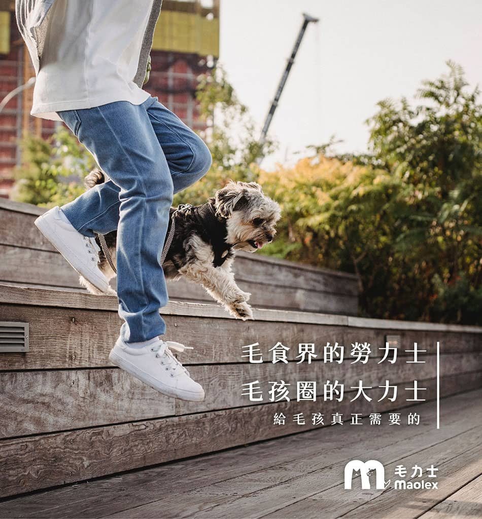 毛力士 Maolex - 毛食界的勞力士,毛孩圈的大力士 - 給毛孩真正需要的