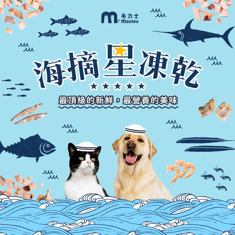 毛力士海摘星凍乾-最頂級的新鮮,最營養的美味