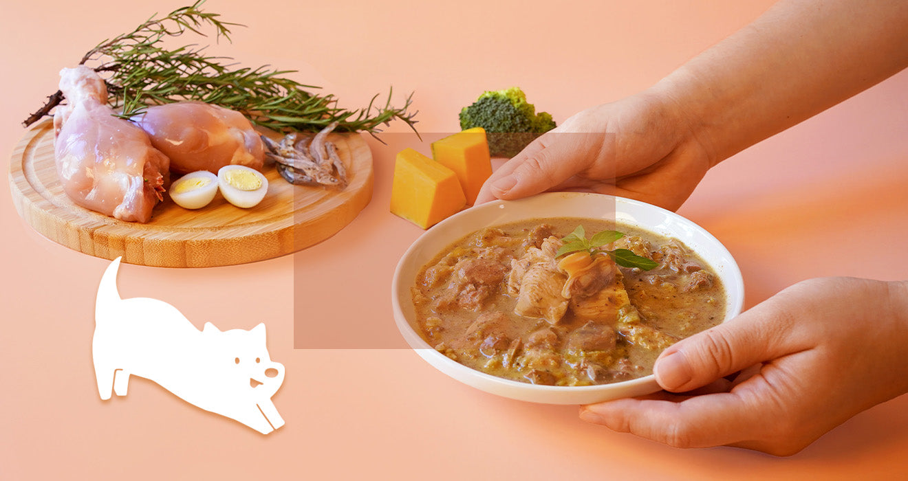 毛力士 Maolex 狗狗主食鮮食餐包 汪品頂級系列