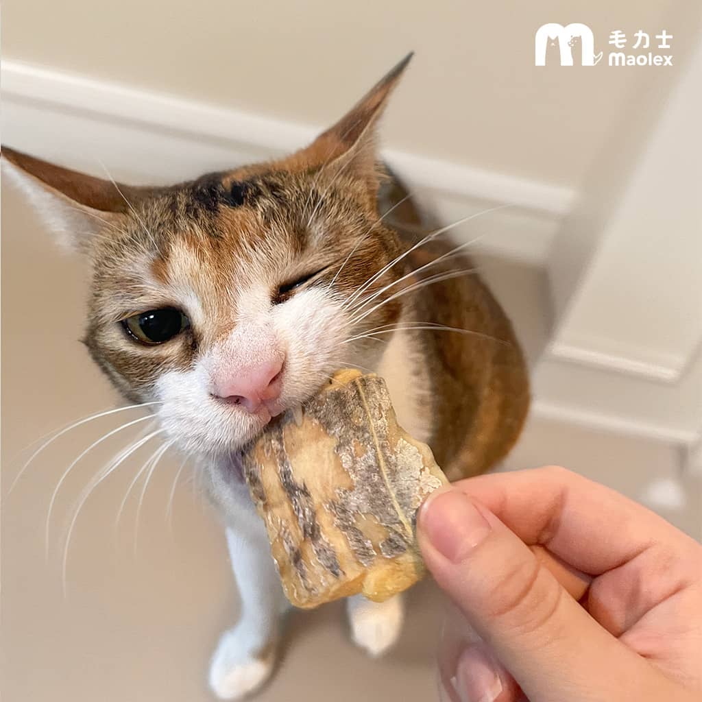 【超值組合🔥4折起】海摘星凍乾|全口味 (犬貓通用)|10入/20入