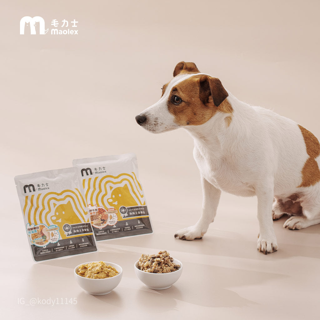 毛力士Maolex,狗狗主食餐包/鮮食,名人/顧客推薦,Kody傑克羅素犬