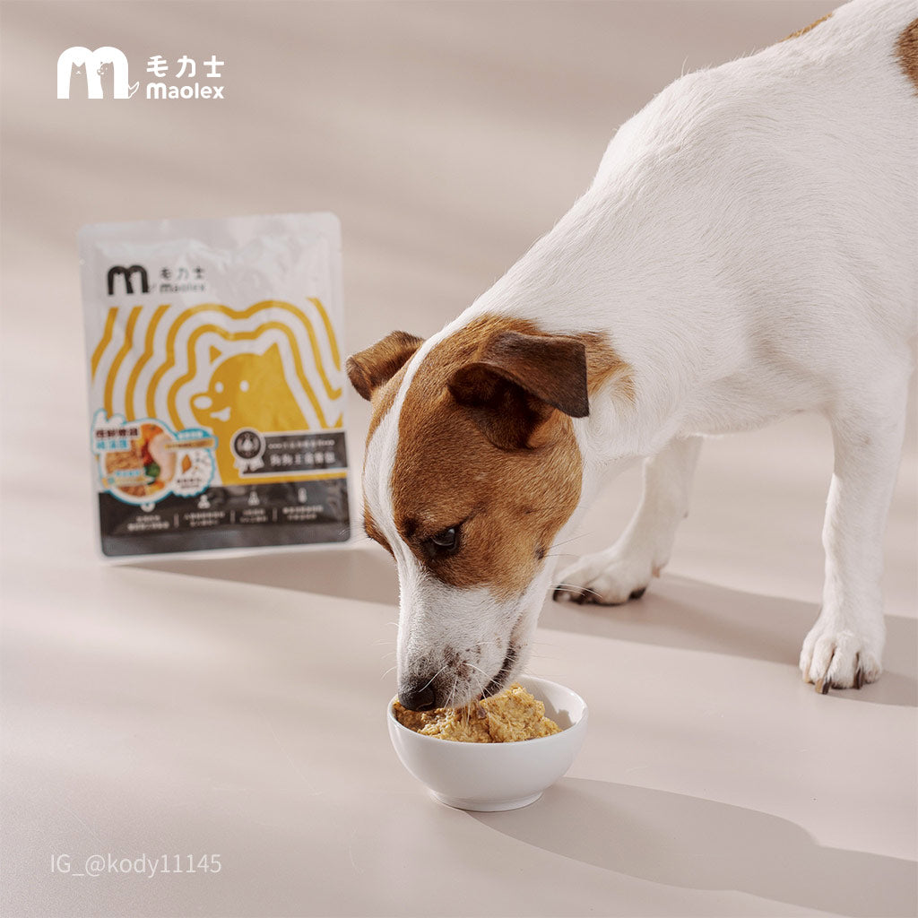 毛力士Maolex,狗狗主食餐包/鮮食,名人/顧客推薦,Kody傑克羅素犬