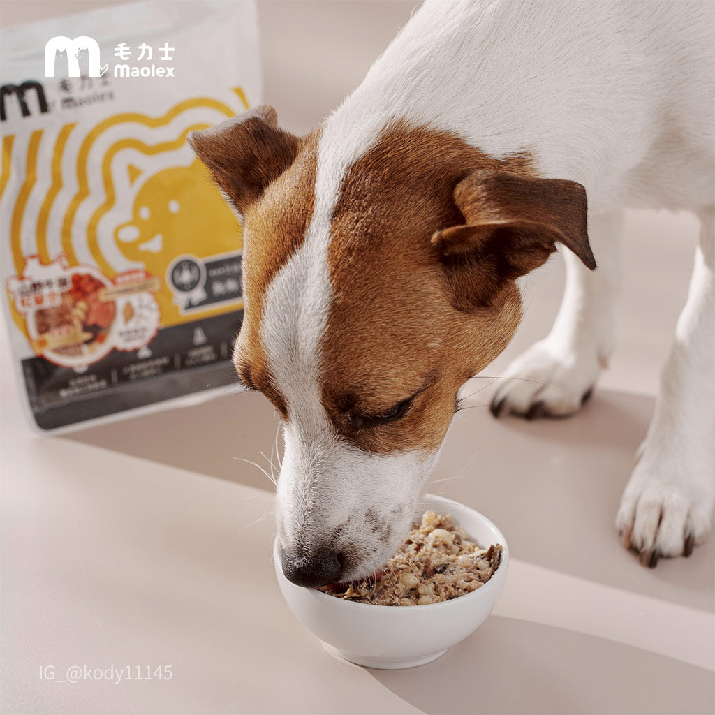 毛力士Maolex,狗狗主食餐包/鮮食,名人/顧客推薦,Kody傑克羅素犬