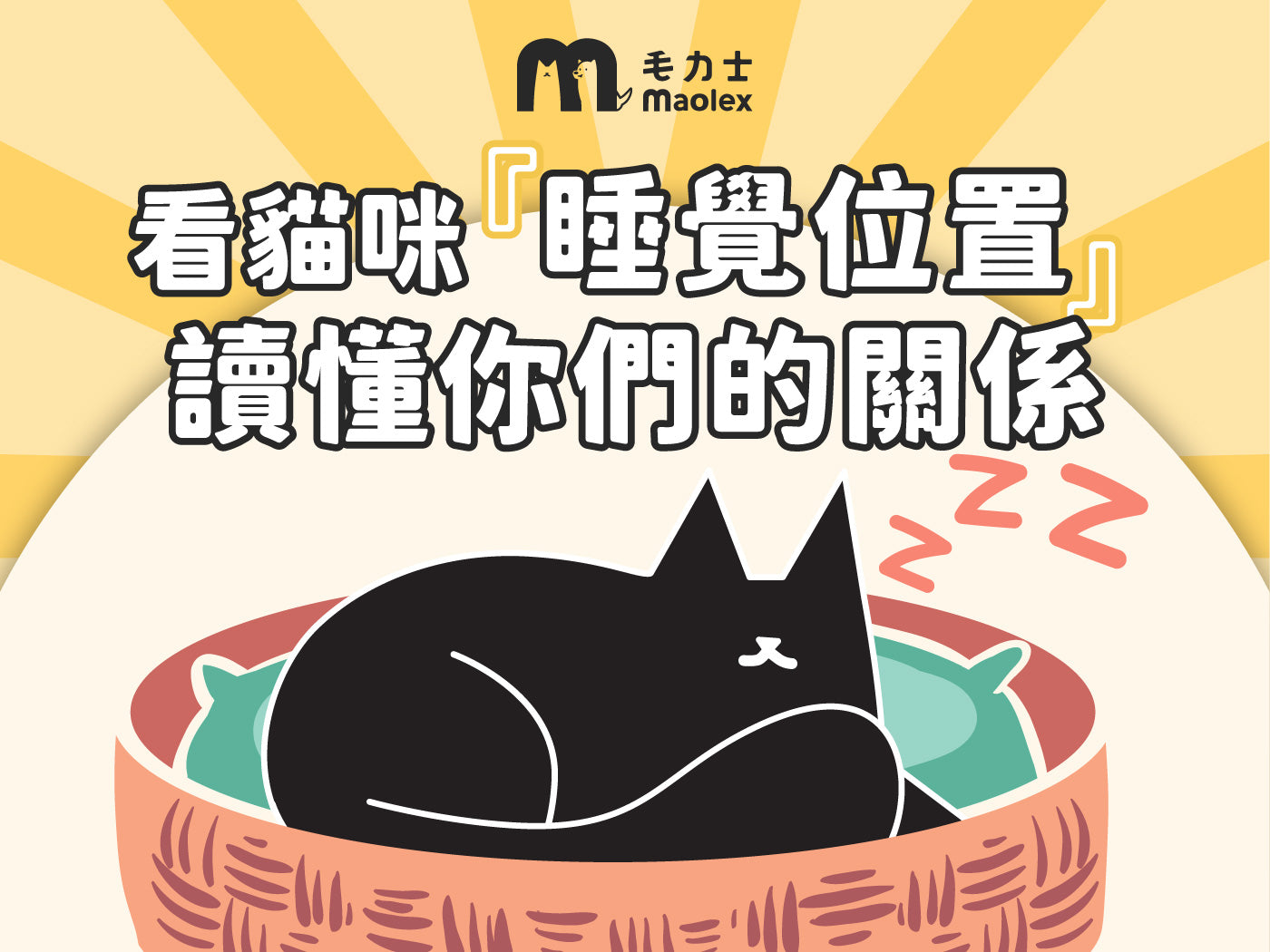 🐈貓咪睡覺位置 透露他對主人的感情!?🌝