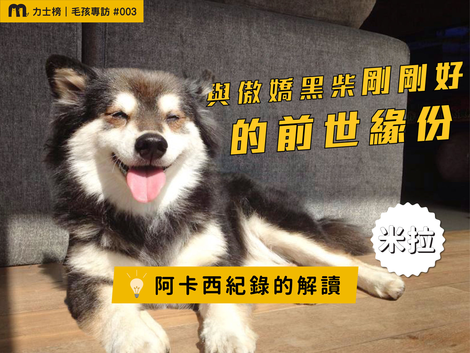 blog1_maolex-dog-cat-pet-food-wetfood-freshfood-catfood-dogfood-dryfeed-Akashic-Shiba Inu-black shiba inu-dog communication-pet communication-prototype food-dog slave