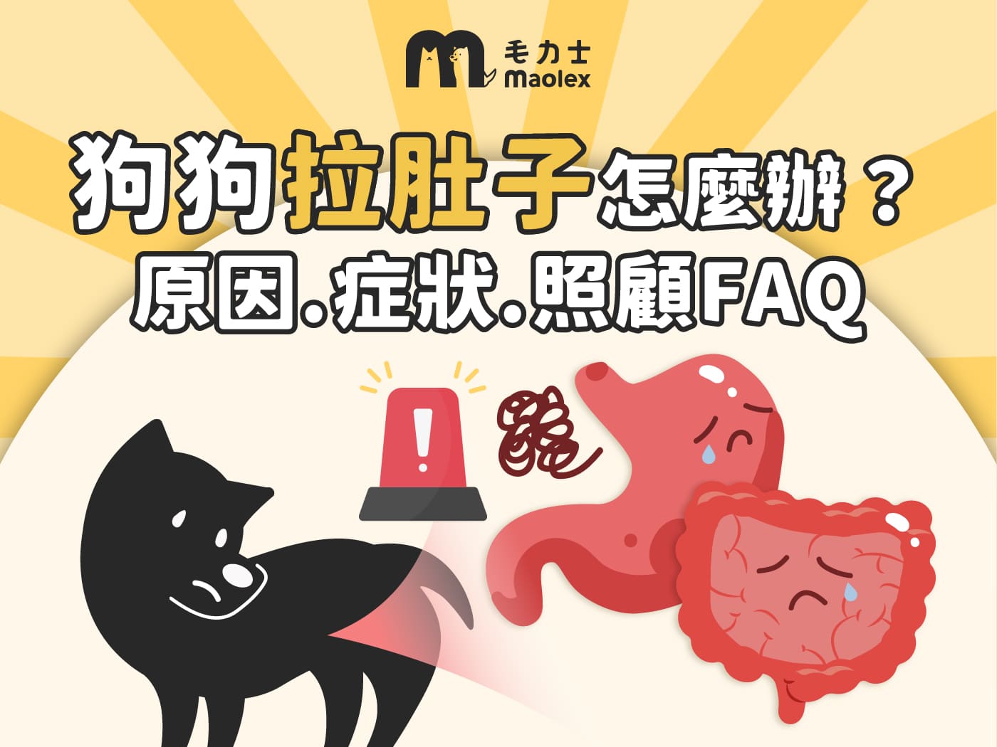 狗狗拉肚子怎麼辦？一次看懂：原因、症狀與照顧指南FAQ