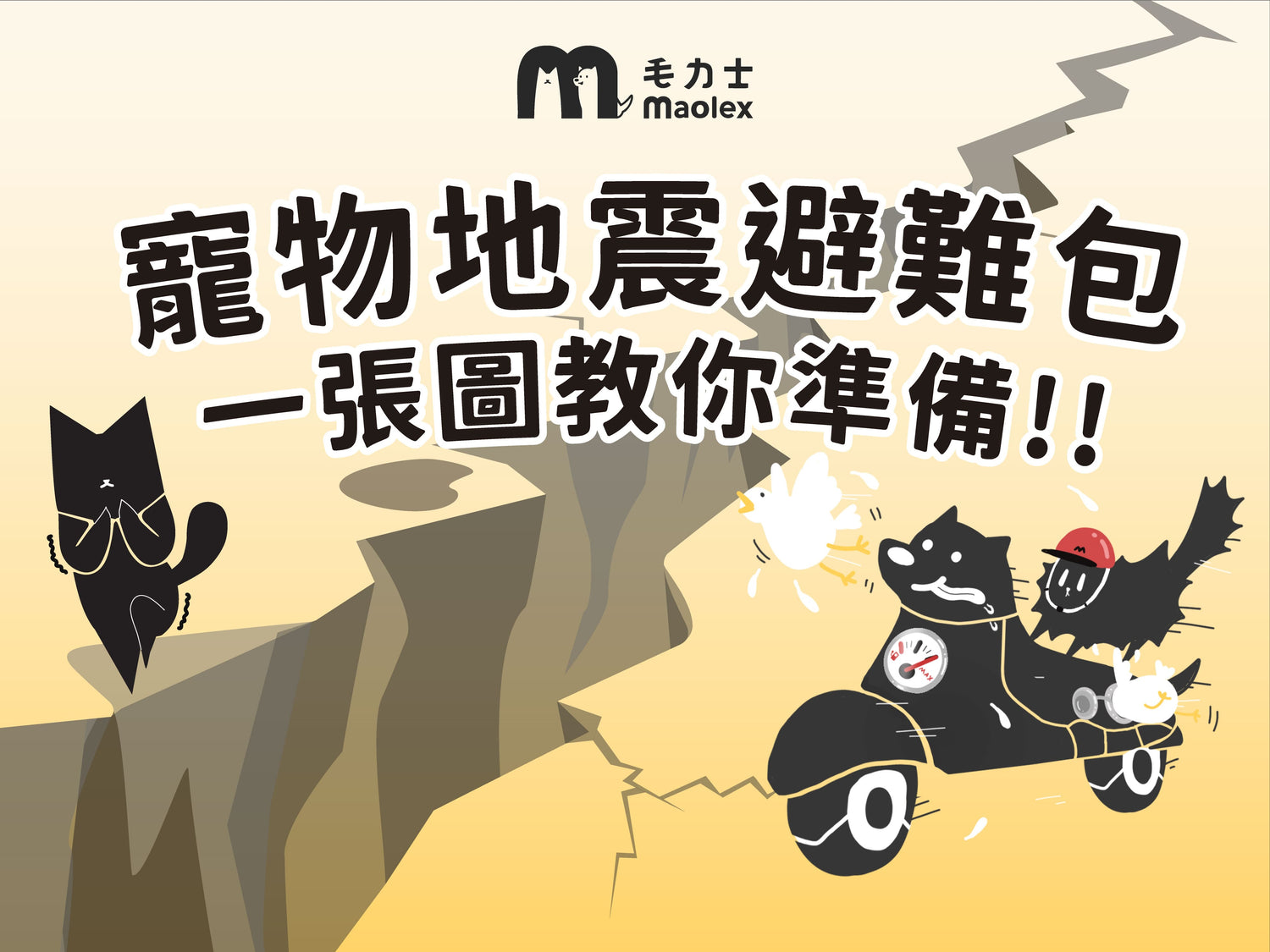 貓狗防災指南｜寵物地震避難包完整清單📝