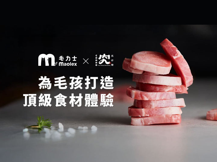 毛力士與究好豬合作，為毛孩打造頂級食材體驗