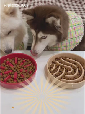 毛力士Maolex，狗狗主食餐包/鮮食，名人/顧客推薦，𝙋𝙞𝙯𝙯𝙖&𝙨𝙖𝙡𝙨𝙖
