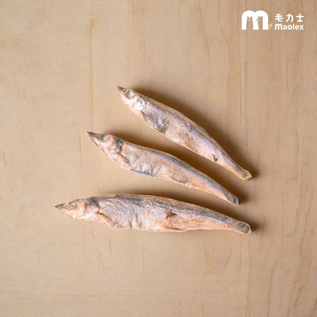 【海摘星凍乾】爆蛋柳葉魚