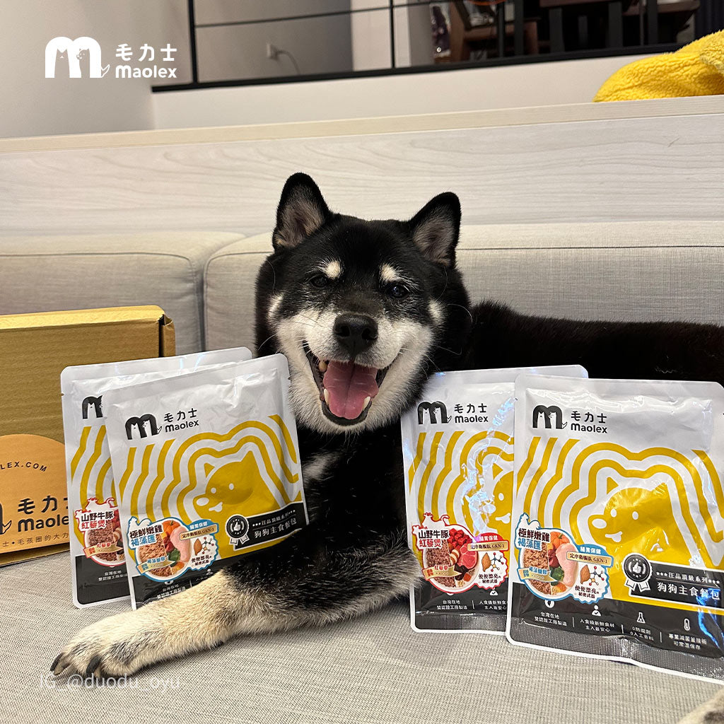 毛力士Maolex，狗狗主食餐包/鮮食，名人/顧客推薦，黑色柴犬多多
