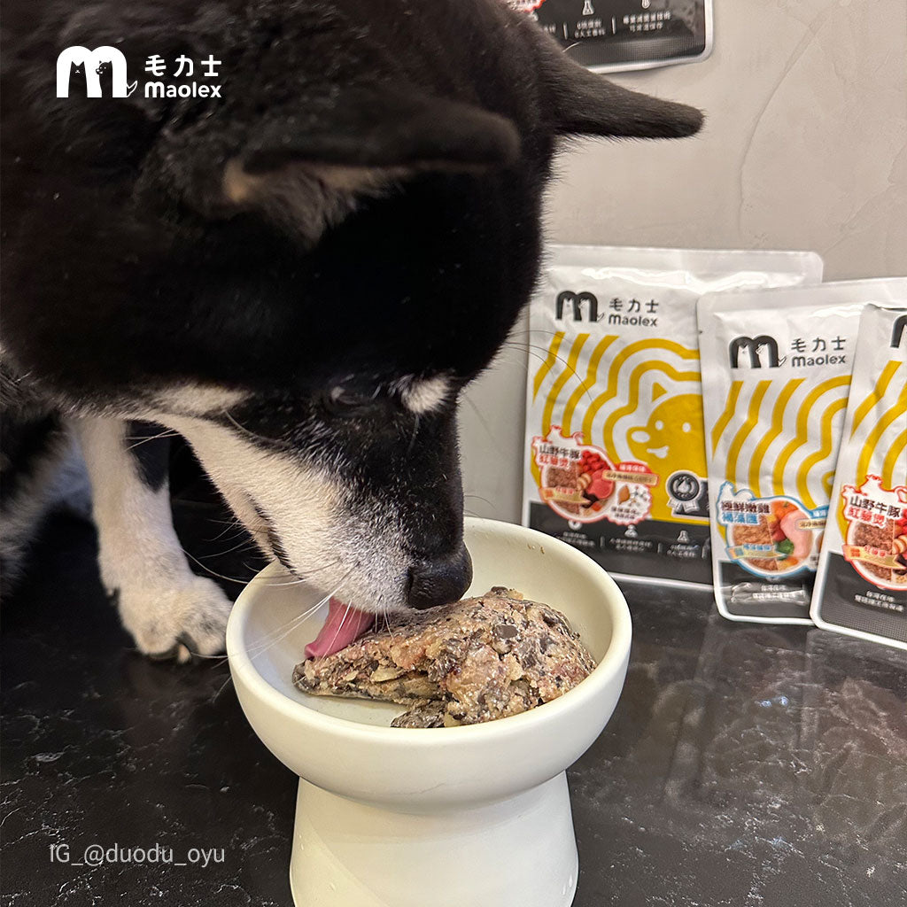 毛力士Maolex，狗狗主食餐包/鮮食，名人/顧客推薦，黑色柴犬多多