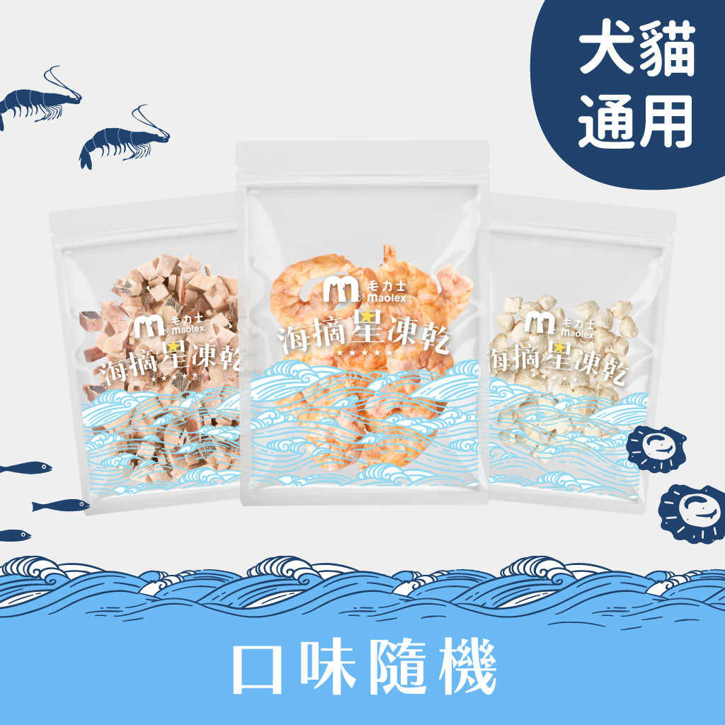 【🐍蛇麼都有-禮盒組】貓咪主食餐包100g*6(全口味)+海摘星凍乾*3+力士補肉泥*5